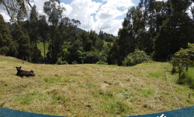 Vendo Lote de 2.172mts en Tabio Rio Frio Oriental