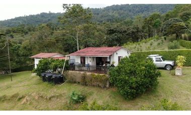 Venta o permuta Finca San Jose Vereda San Patricio, Arbeláez