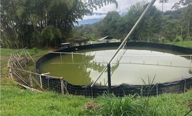 Venta o permuta Finca San Jose Vereda San Patricio, Arbeláez