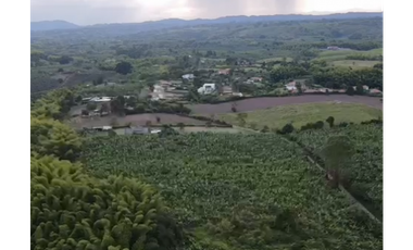 VENTA DE LOTES EN LA TEBAIDA, VILLAS ECOTURISTICAS
