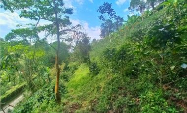 Maat vende finca en La Vega - 25.000m2 $800Millones