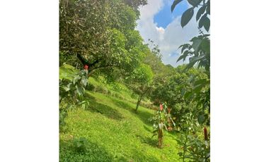 Maat vende finca en La Vega - 25.000m2 $800Millones