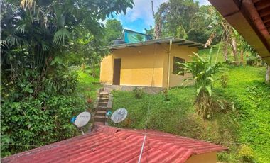 Maat vende finca en La Vega - 25.000m2 $800Millones