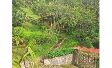 Maat vende finca en La Vega - 25.000m2 $800Millones