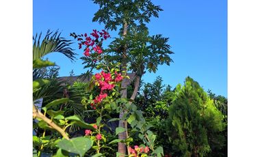 OPORTUNIDAD! Finca en Sopetran con 4 cabañas. Vereda el Rodeo.