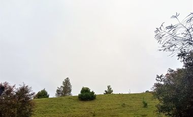 LOTE EN VENTA EL RETIRO ANTIOQUIA VIA A PLATANILLO