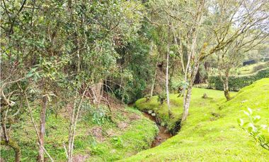 Venta de Lote en El Retiro Via Pantanillo