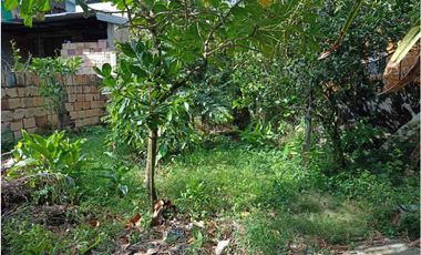 Casa lote Urbano muy cerca al centro de La Mesa Cundinamarca