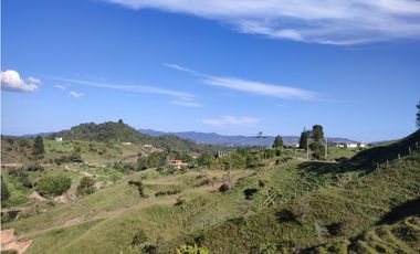 Finca en venta el Peñol Antioquia Parcelar 36,000 m2 el Marial.