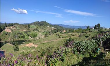 Finca en venta el Peñol Antioquia Parcelar 36,000 m2 el Marial.