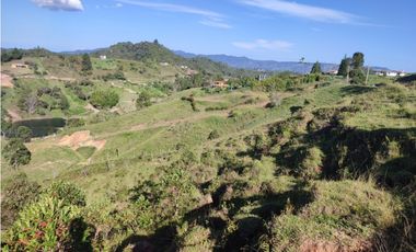 Finca en venta el Peñol Antioquia Parcelar 36,000 m2 el Marial.