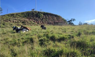 Finca en venta el Peñol Antioquia Parcelar 36,000 m2 el Marial.