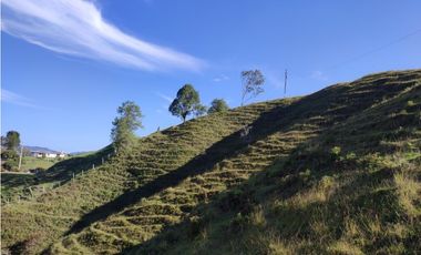 Finca en venta el Peñol Antioquia Parcelar 36,000 m2 el Marial.