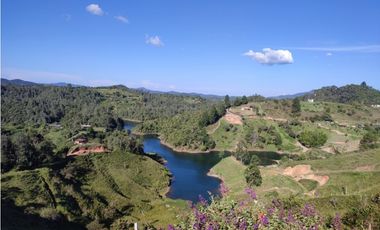 Finca en venta el Peñol Antioquia Parcelar 36,000 m2 el Marial.