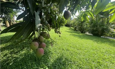 VENTA CASA CAMPESTRE - VDA PADILLA - LA TEBAIDA QUINDIO