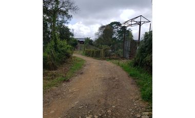 VENDO FINCA EN SILVANIA