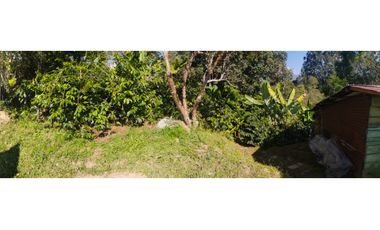 VENDO FINCA EN SILVANIA