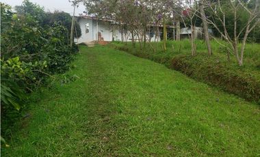 VENDO FINCA EN SILVANIA