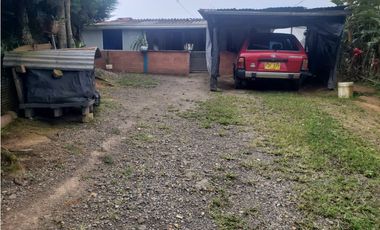 VENDO FINCA EN SILVANIA