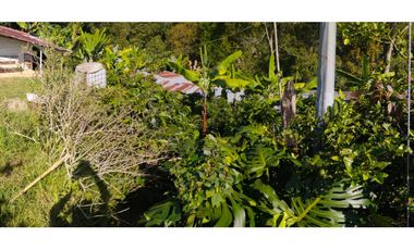 VENDO FINCA EN SILVANIA