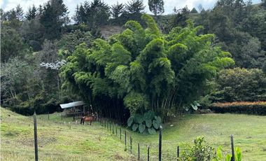 Finca en El Retiro