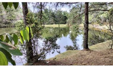 Finca en El Retiro