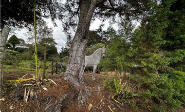 Finca en El Retiro