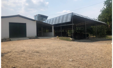 VENTA/ PERMUTA, FINCA ARROCERA EN NATAGAIMA TOLIMA,