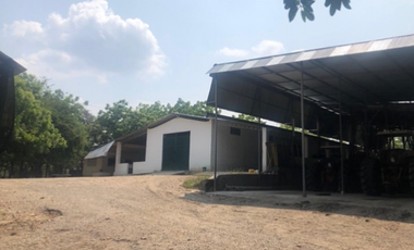 VENTA/ PERMUTA, FINCA ARROCERA EN NATAGAIMA TOLIMA,