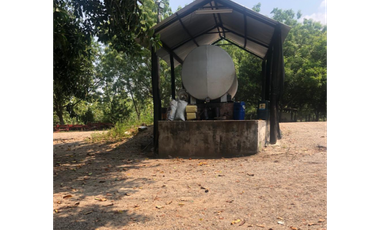 VENTA/ PERMUTA, FINCA ARROCERA EN NATAGAIMA TOLIMA,