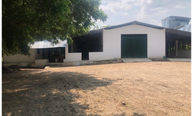 VENTA/ PERMUTA, FINCA ARROCERA EN NATAGAIMA TOLIMA,