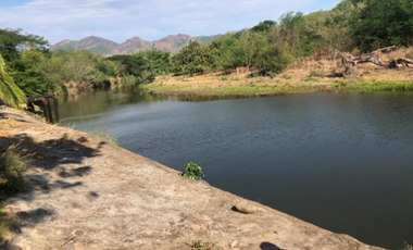 VENTA/ PERMUTA, FINCA ARROCERA EN NATAGAIMA TOLIMA,