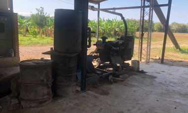 VENTA/ PERMUTA, FINCA ARROCERA EN NATAGAIMA TOLIMA,