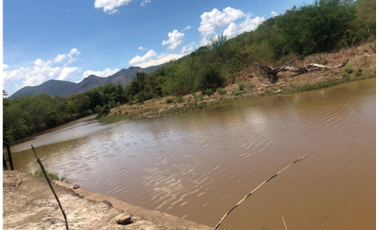 VENTA/ PERMUTA, FINCA ARROCERA EN NATAGAIMA TOLIMA,