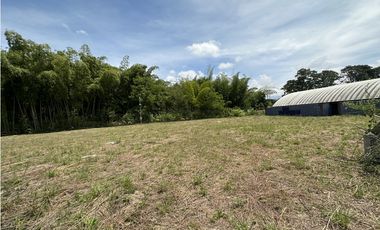 Se Venden Lotes Industriales Zona Franca La Tebaida Quindio