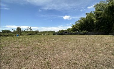 Se Venden Lotes Industriales Zona Franca La Tebaida Quindio