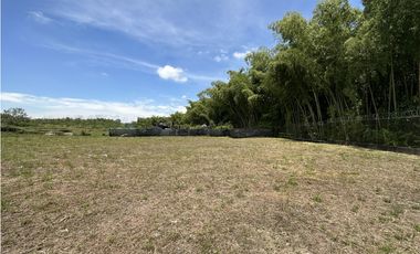 Se Venden Lotes Industriales Zona Franca La Tebaida Quindio
