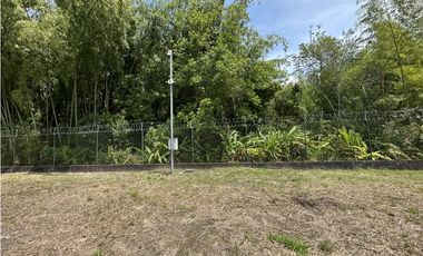 Se Venden Lotes Industriales Zona Franca La Tebaida Quindio