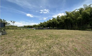 Se Venden Lotes Industriales Zona Franca La Tebaida Quindio