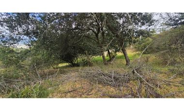 FINCA EN VENTA, VEREDA CANAVITA TOCANCIPA CUNDINAMARCA.
