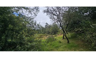FINCA EN VENTA, VEREDA CANAVITA TOCANCIPA CUNDINAMARCA.