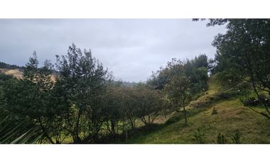 FINCA EN VENTA, VEREDA CANAVITA TOCANCIPA CUNDINAMARCA.