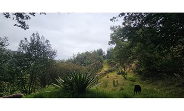 FINCA EN VENTA, VEREDA CANAVITA TOCANCIPA CUNDINAMARCA.