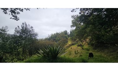 FINCA EN VENTA, VEREDA CANAVITA TOCANCIPA CUNDINAMARCA.