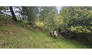 FINCA EN VENTA, VEREDA CANAVITA TOCANCIPA CUNDINAMARCA.