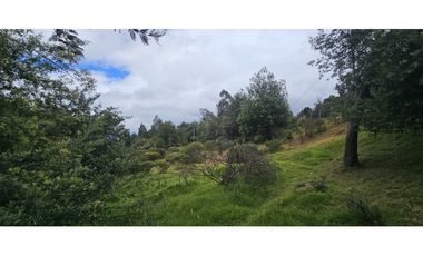 FINCA EN VENTA, VEREDA CANAVITA TOCANCIPA CUNDINAMARCA.