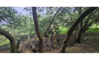FINCA EN VENTA, VEREDA CANAVITA TOCANCIPA CUNDINAMARCA.