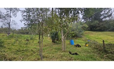 FINCA EN VENTA, VEREDA CANAVITA TOCANCIPA CUNDINAMARCA.