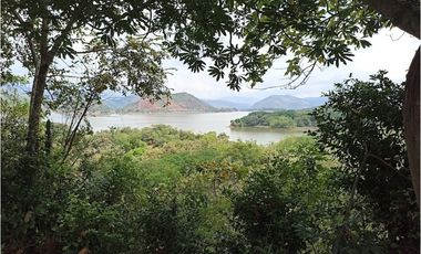 Venta Lote Betania Huila
