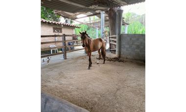 Vendo Espectacular Finca Pintada Bolombolo